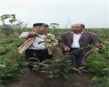 金土地產品品質，我們非常認可